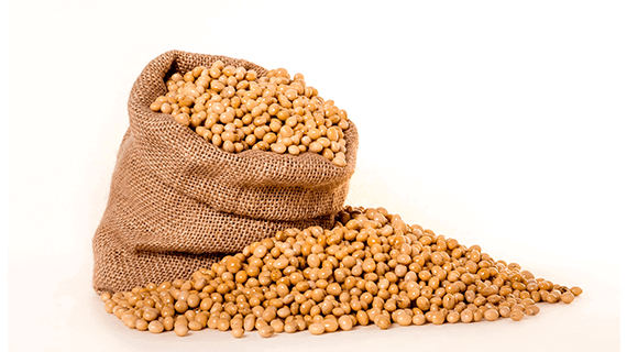 soybeans