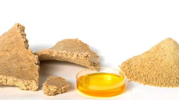 why soy meal