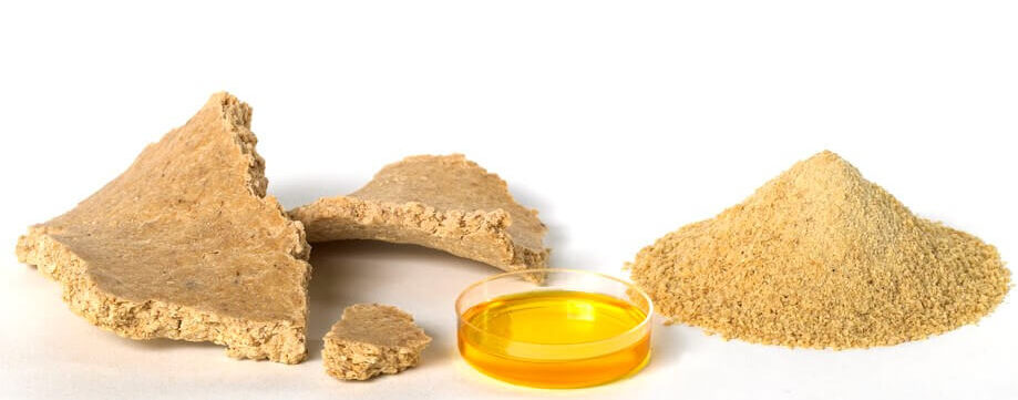 why soy meal