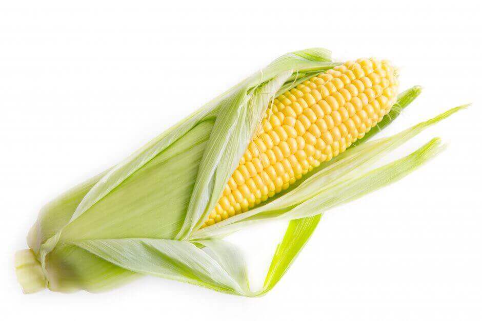 Maize