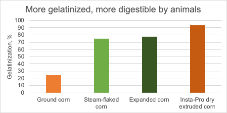 Gelatinization Graph