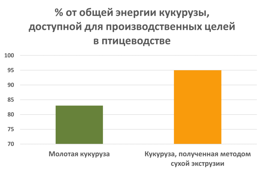 Блог Дэйва Джули